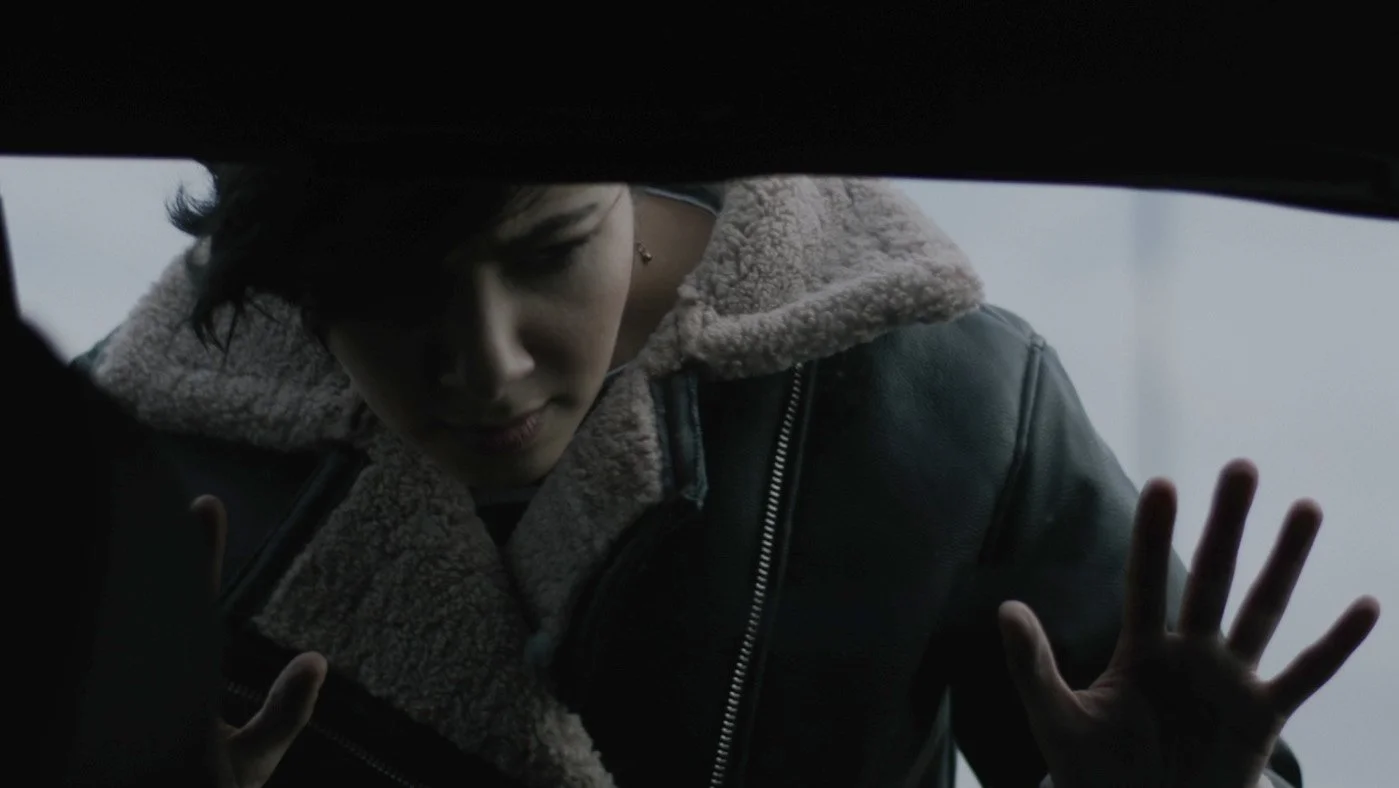 INVADER (2024) — Terror Vision Records and Video